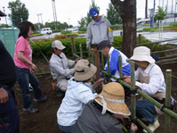 新着情報の画像